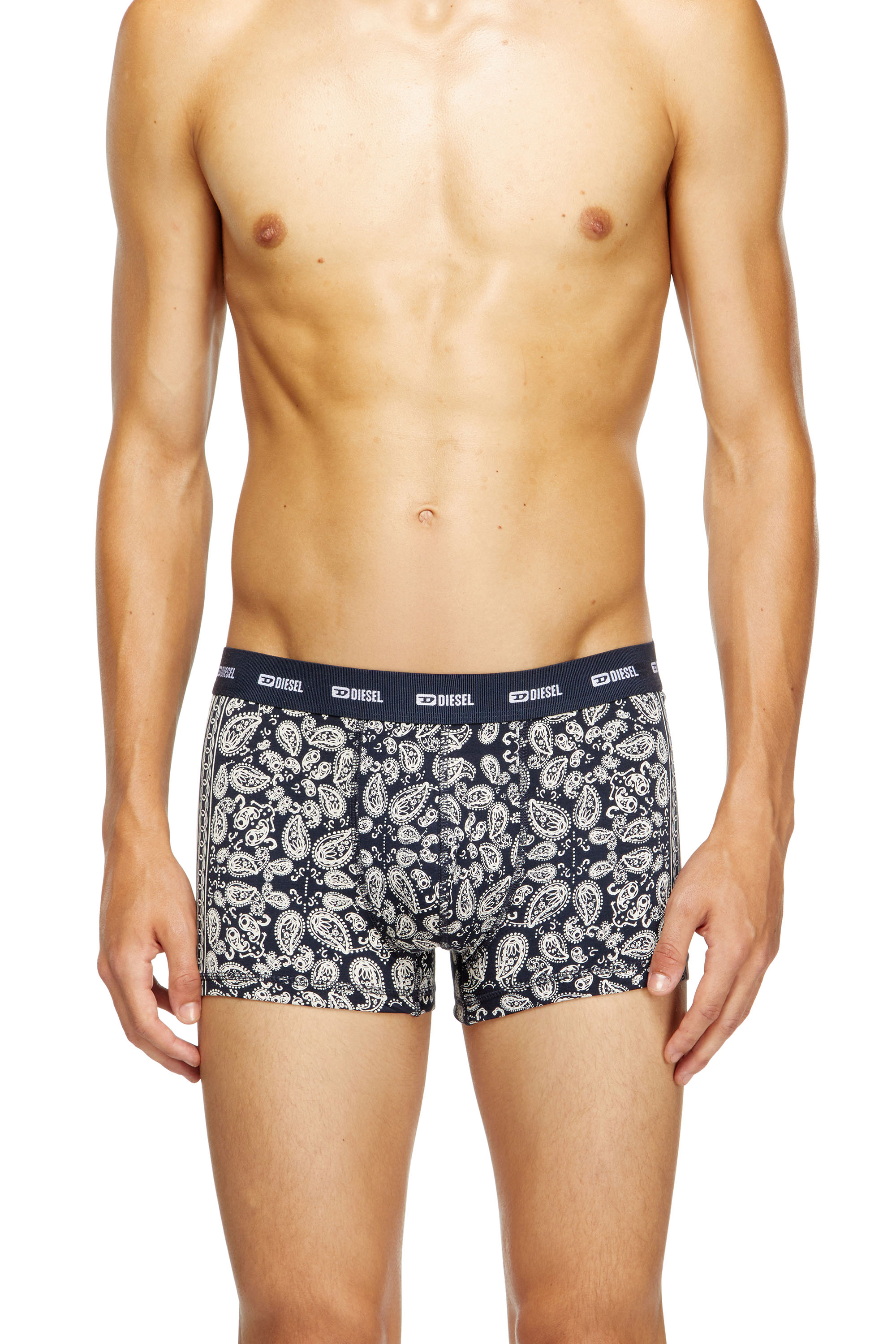 Diesel - DAMIEN-UTLT, Male's ボクサーパンツ in ブルー - 3