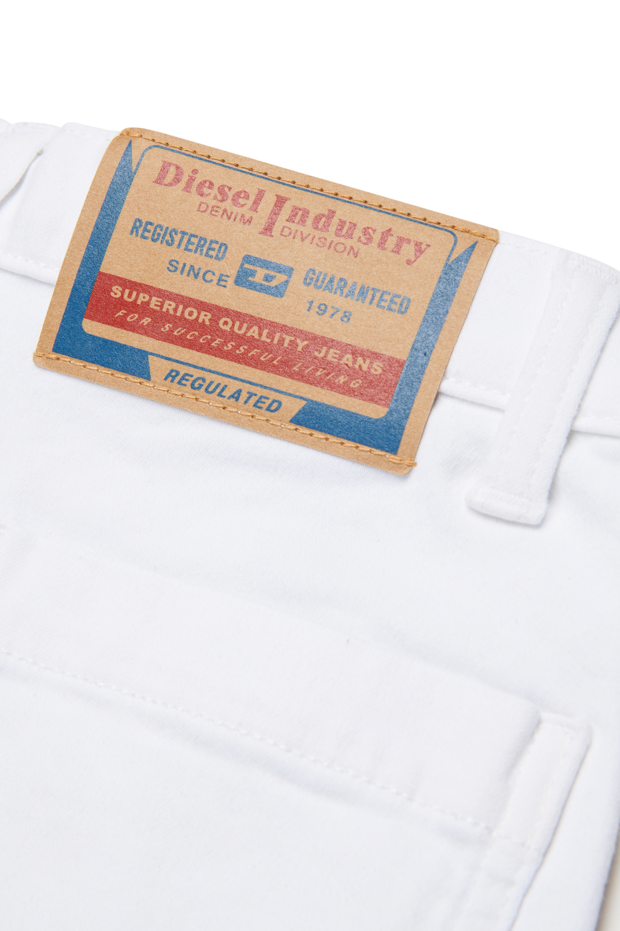 Diesel - PINTYX JJJ, Female's ジョグ ショートパンツ in ホワイト - 4