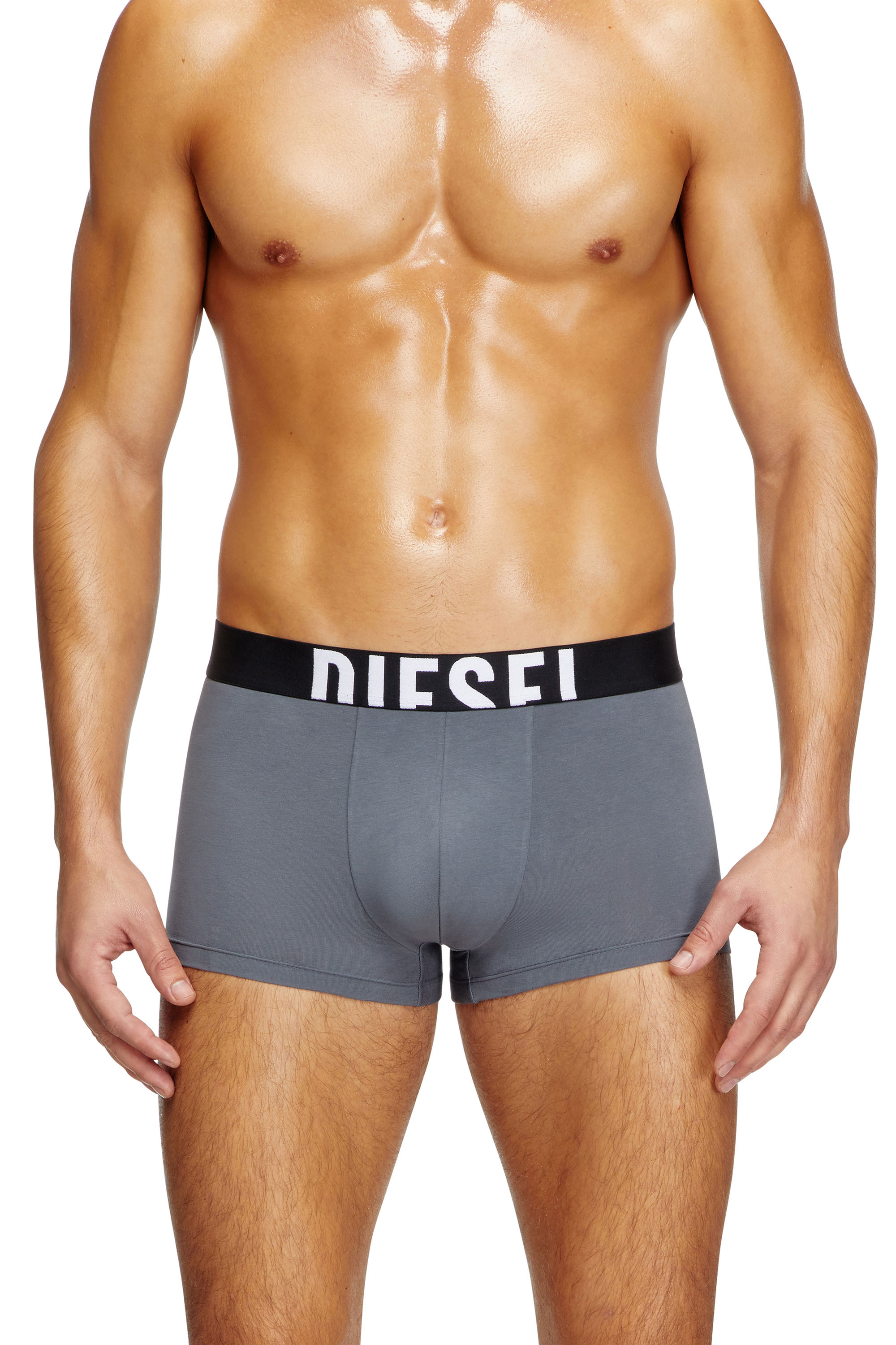 Diesel - DAMIEN-D-POP-40, Male's ボクサーパンツ in グレー - 3