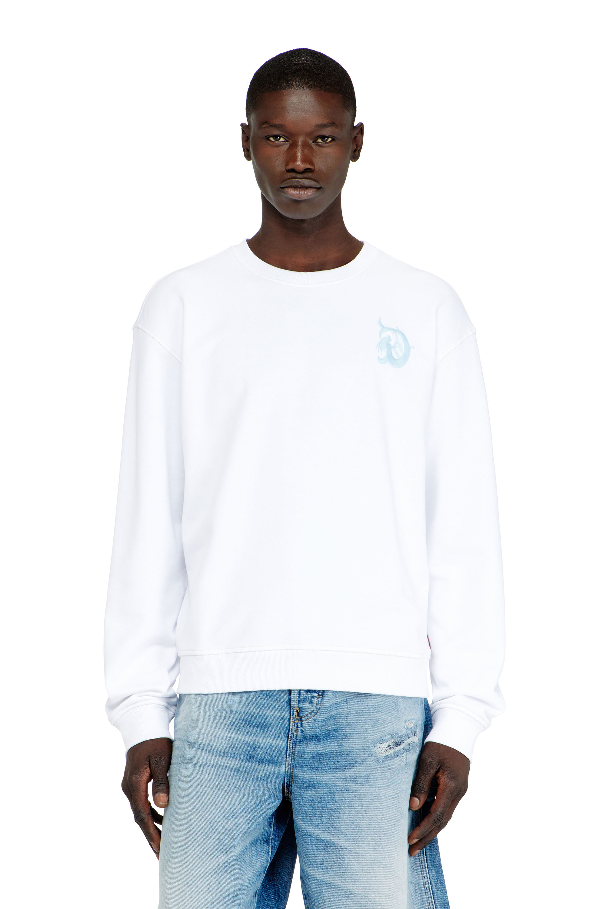 Diesel - S-NORM-AA4, Male's プルオーバースウェット in ホワイト - 3