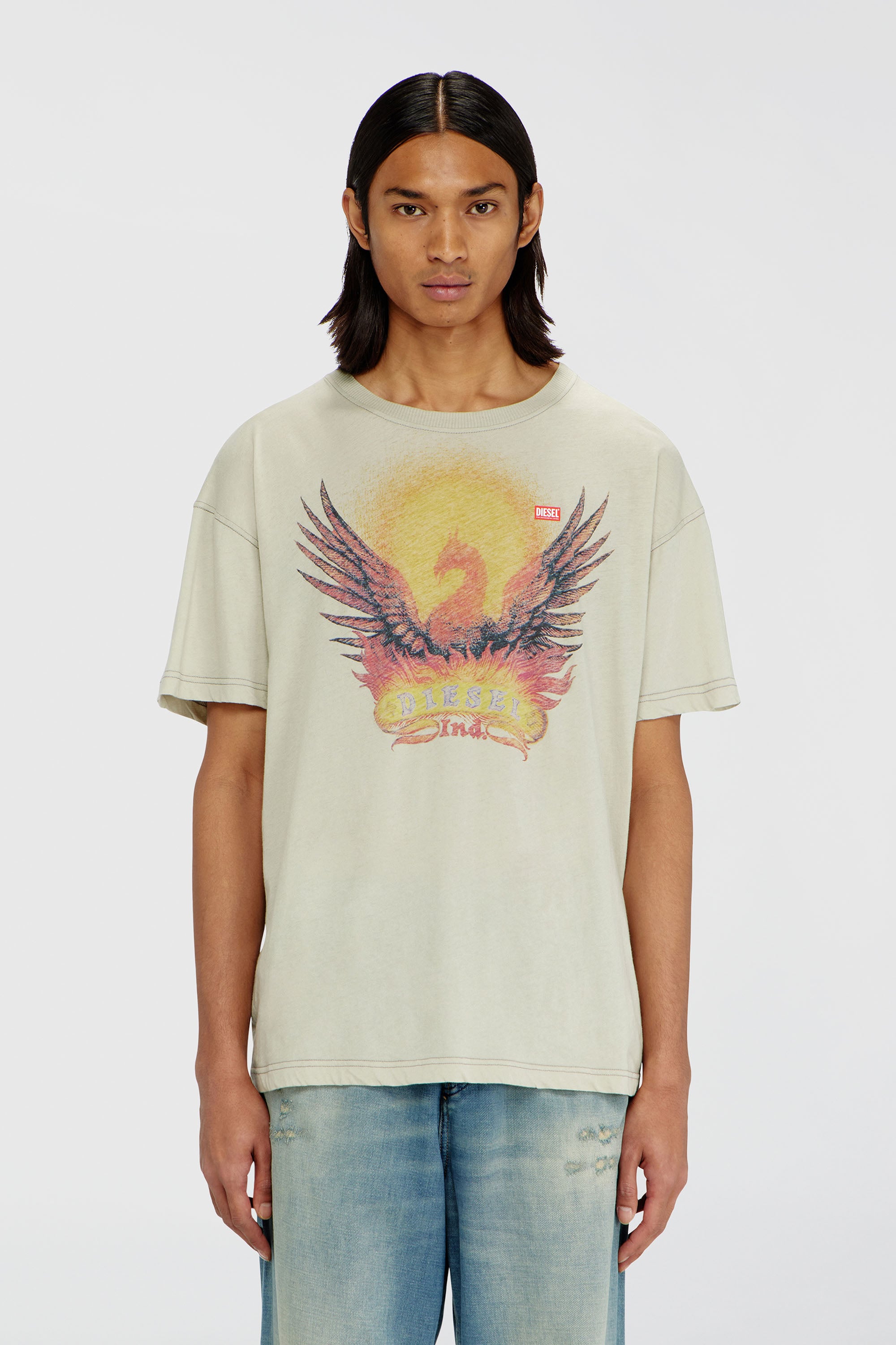 Diesel - T-NORM-AA1, Male's Tシャツ in ベージュ - 1