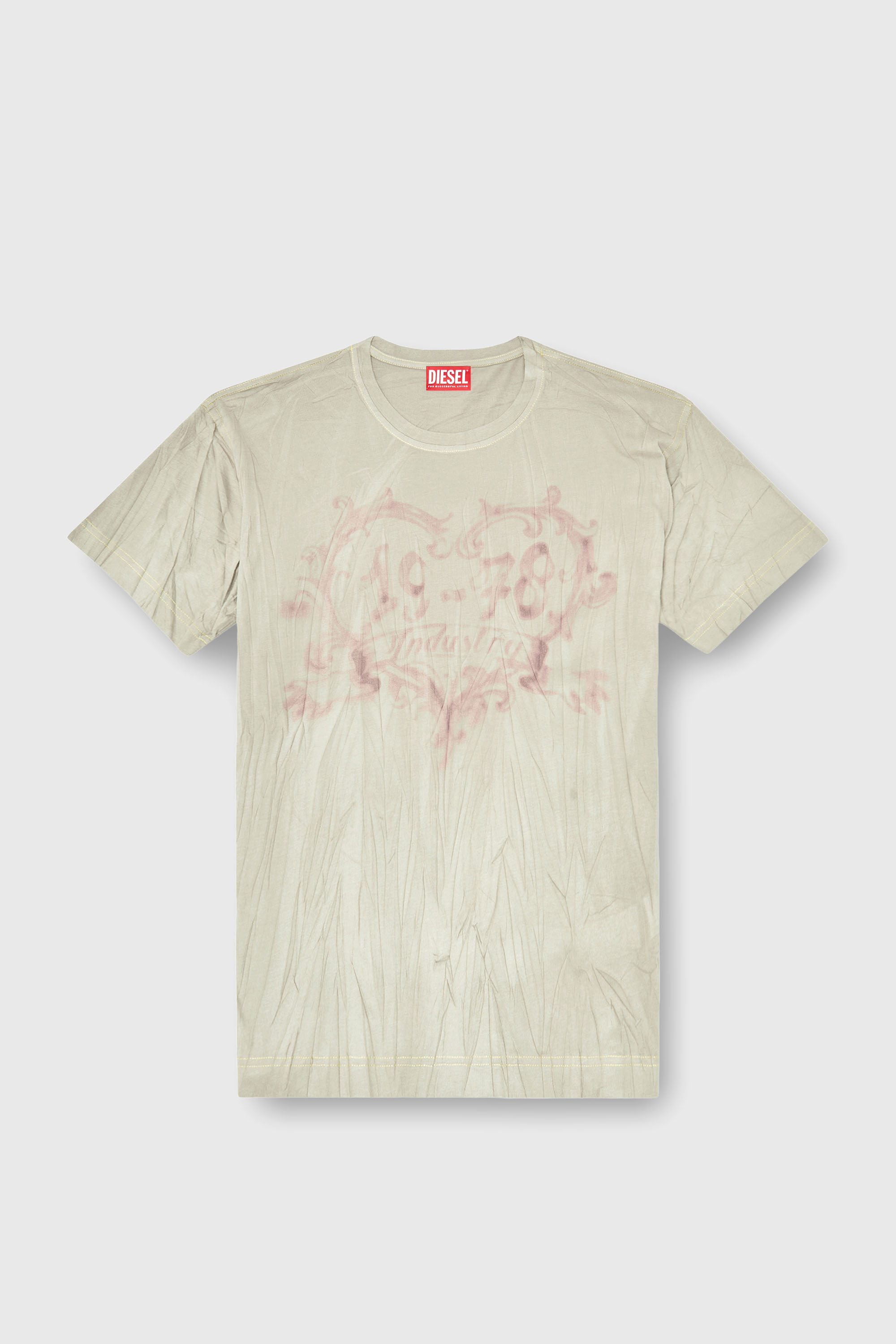 Diesel - T-NORMY-AA4, Female's Tシャツ in ベージュ/ピンク - 2