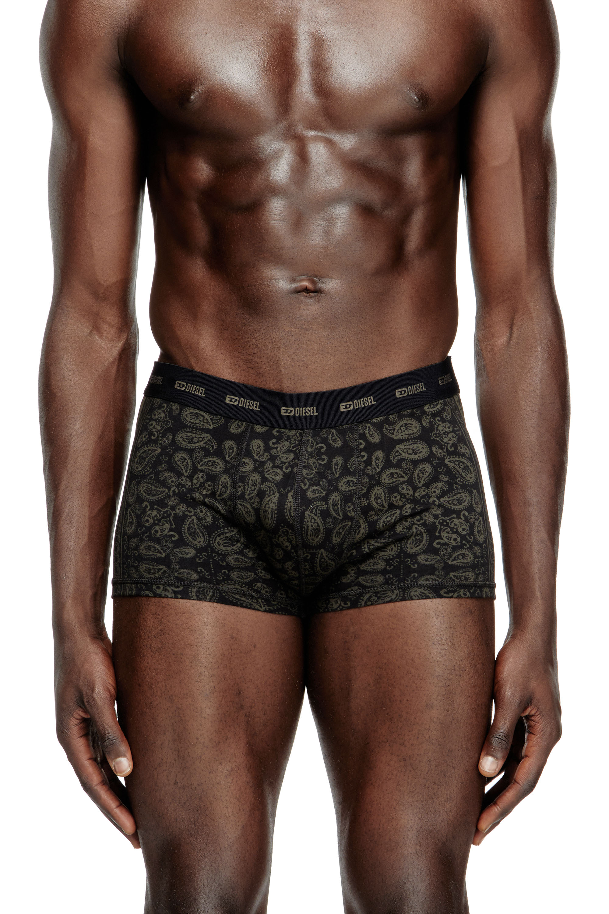Diesel - DAMIEN-UTLT, Male's Boxer briefs with Bandana print in ブラック - 2