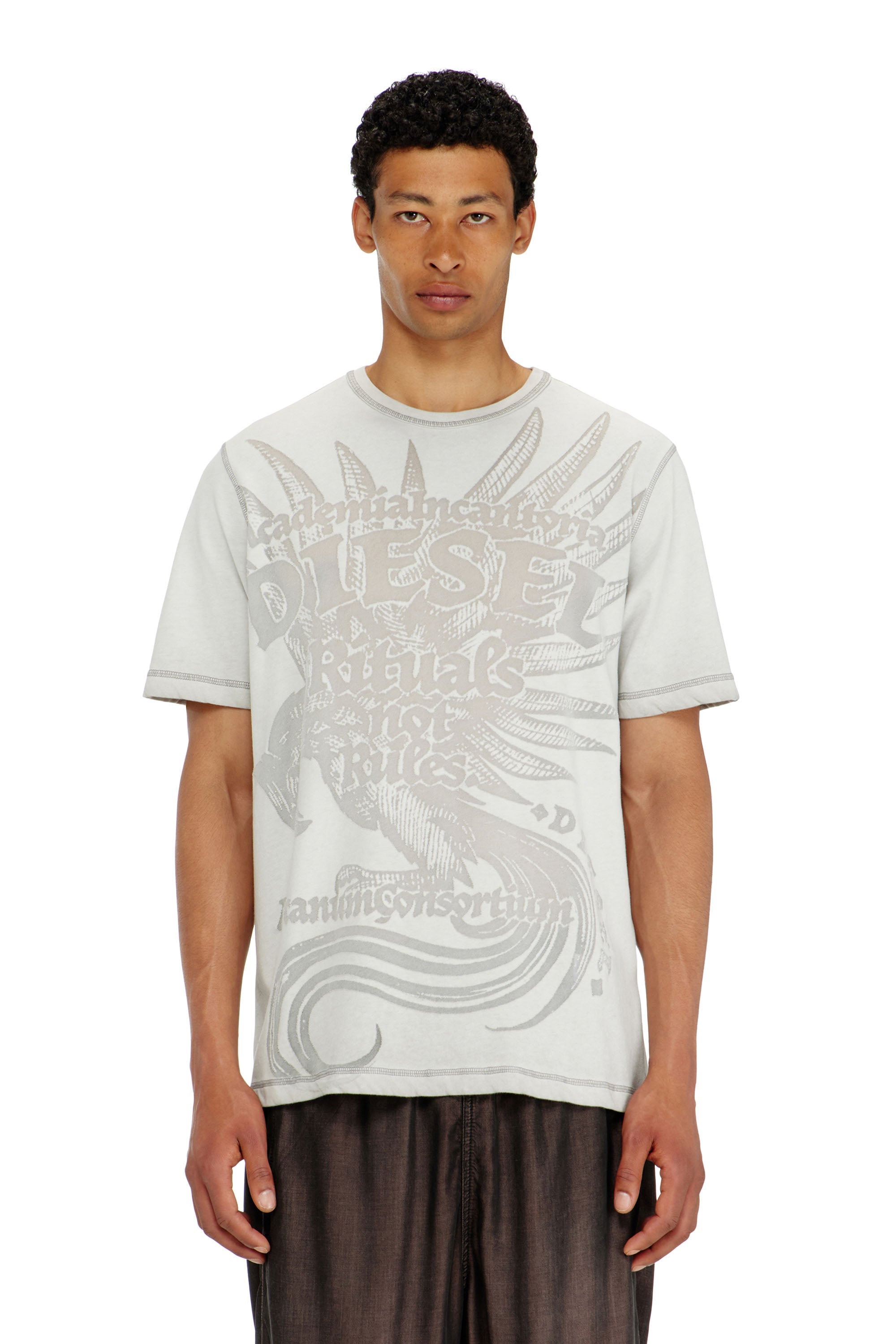 Diesel - T-RAWJUST-AA1, Male's Tシャツ in ライトグレー - 3