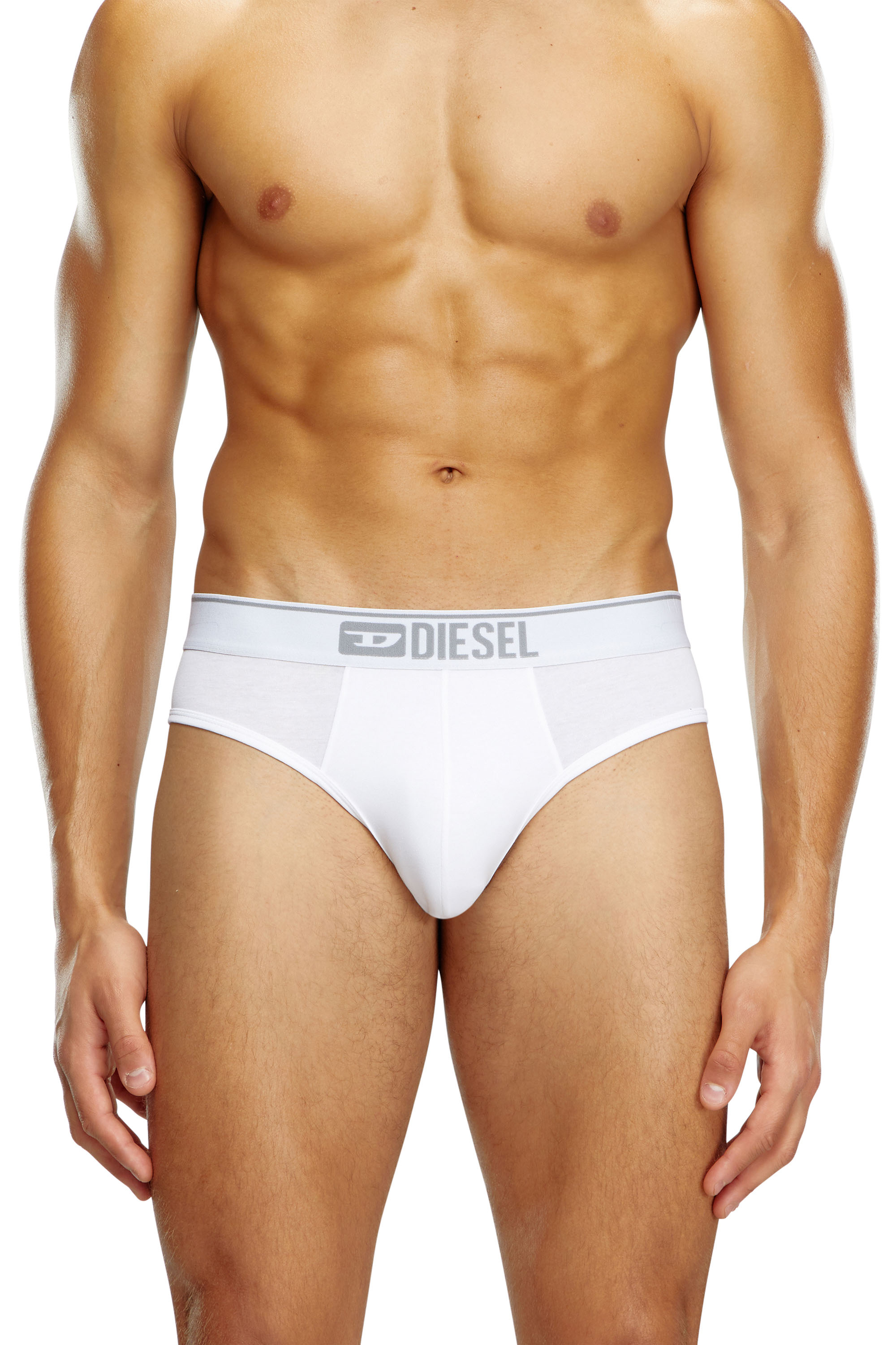 Diesel - UMBR-ANDRETHREEPACK, Male's アンダーウェアブリーフ3枚セット in ホワイト/ブラック - 2