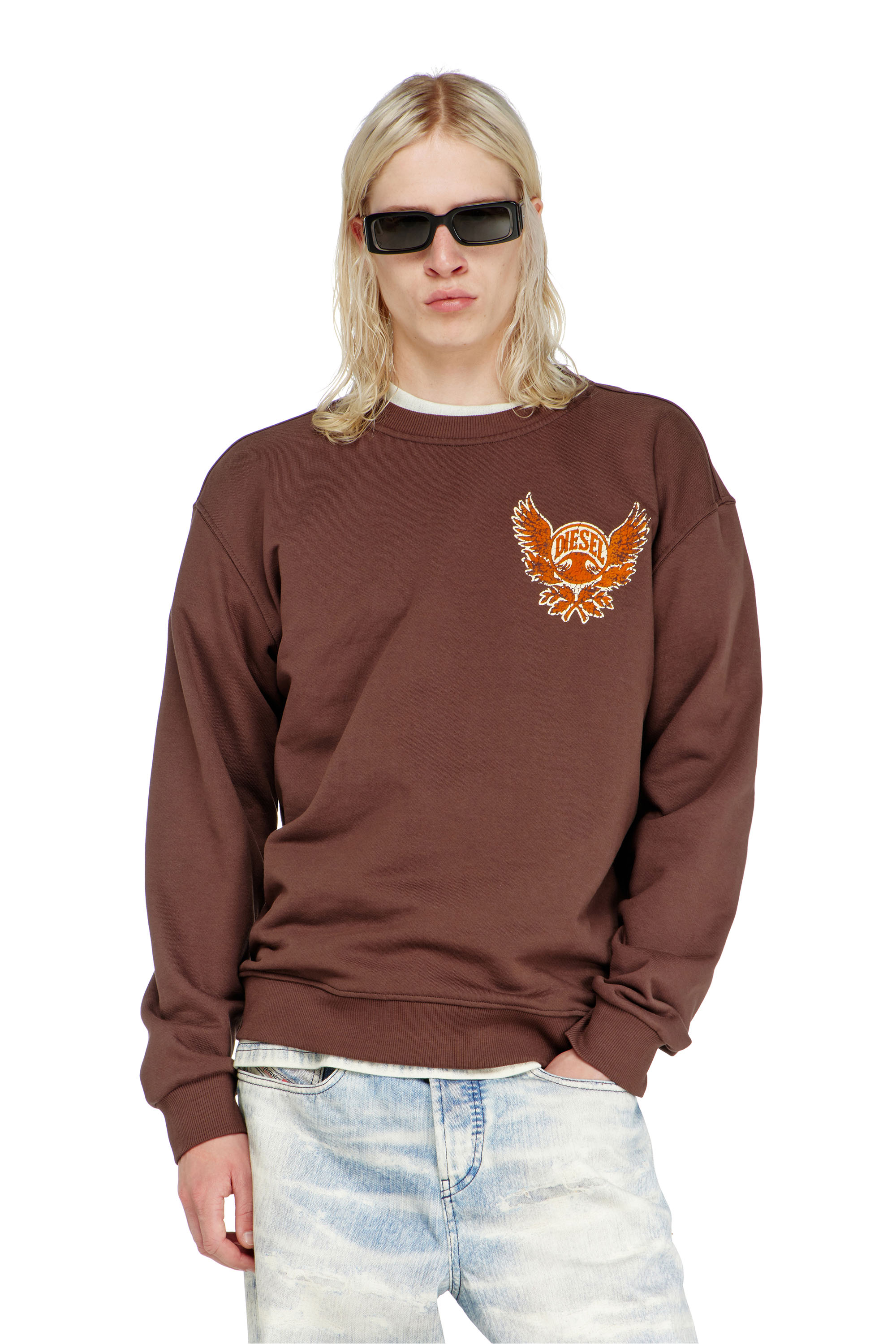 Diesel - S-NORM-AA2, Male's プルオーバースウェット in ブラウン - 1