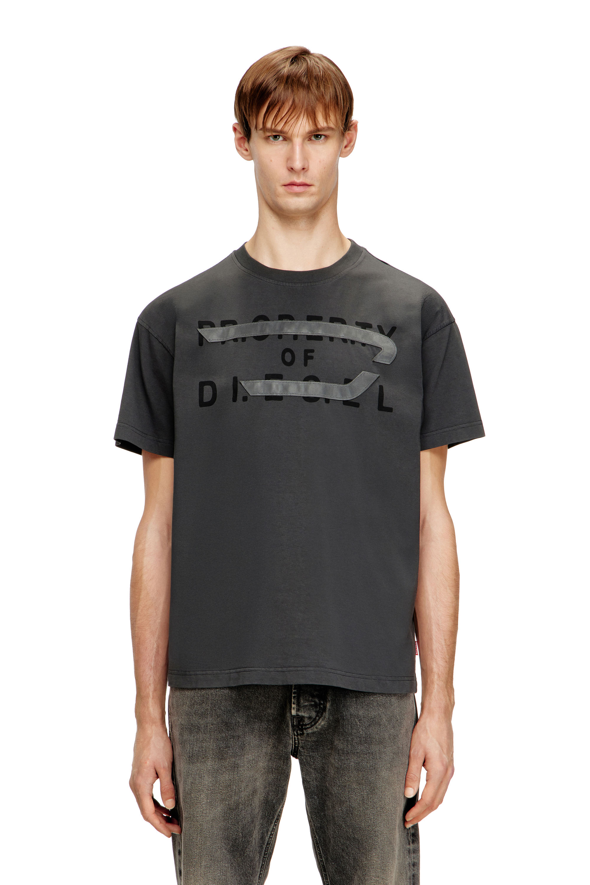 Diesel - T-NORM-V11, Male's Tシャツ in グレー - 3