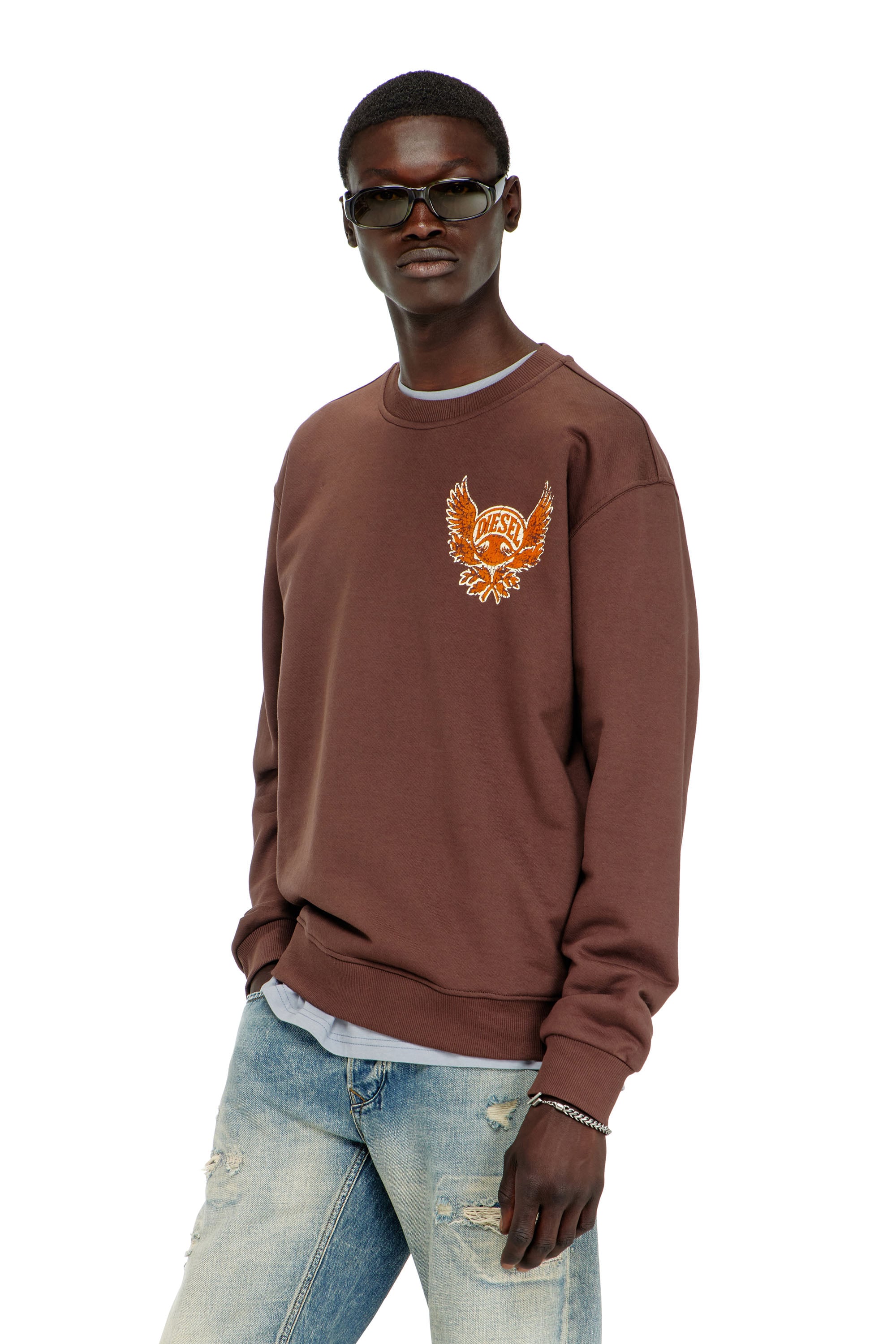 Diesel - S-NORM-AA2, Male's プルオーバースウェット in ブラウン - 1
