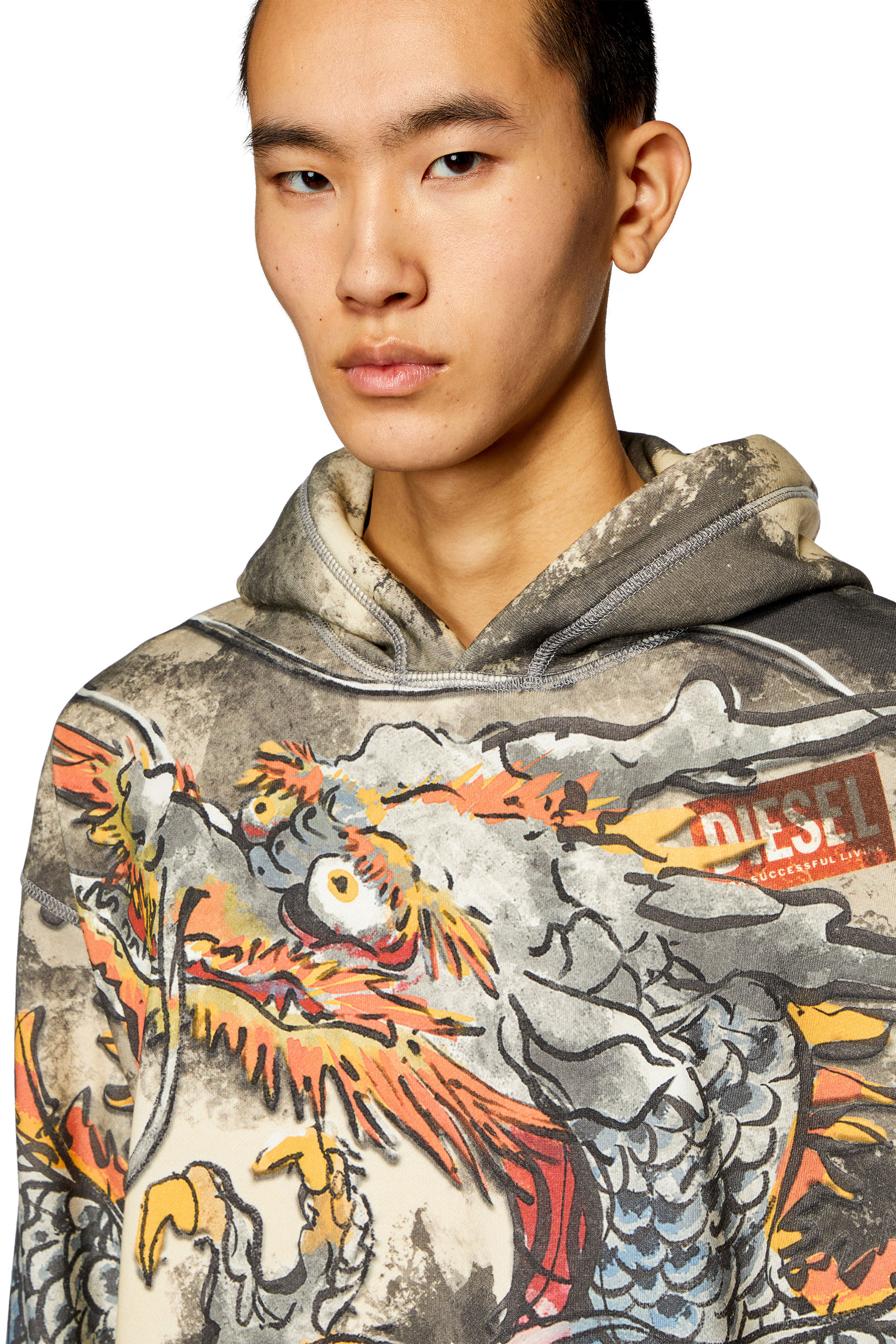 Diesel - CL-S-BOXT-HOOD-DRAGON, Unisex's Hoodie with Dragon print in ブラック/グレー - 5