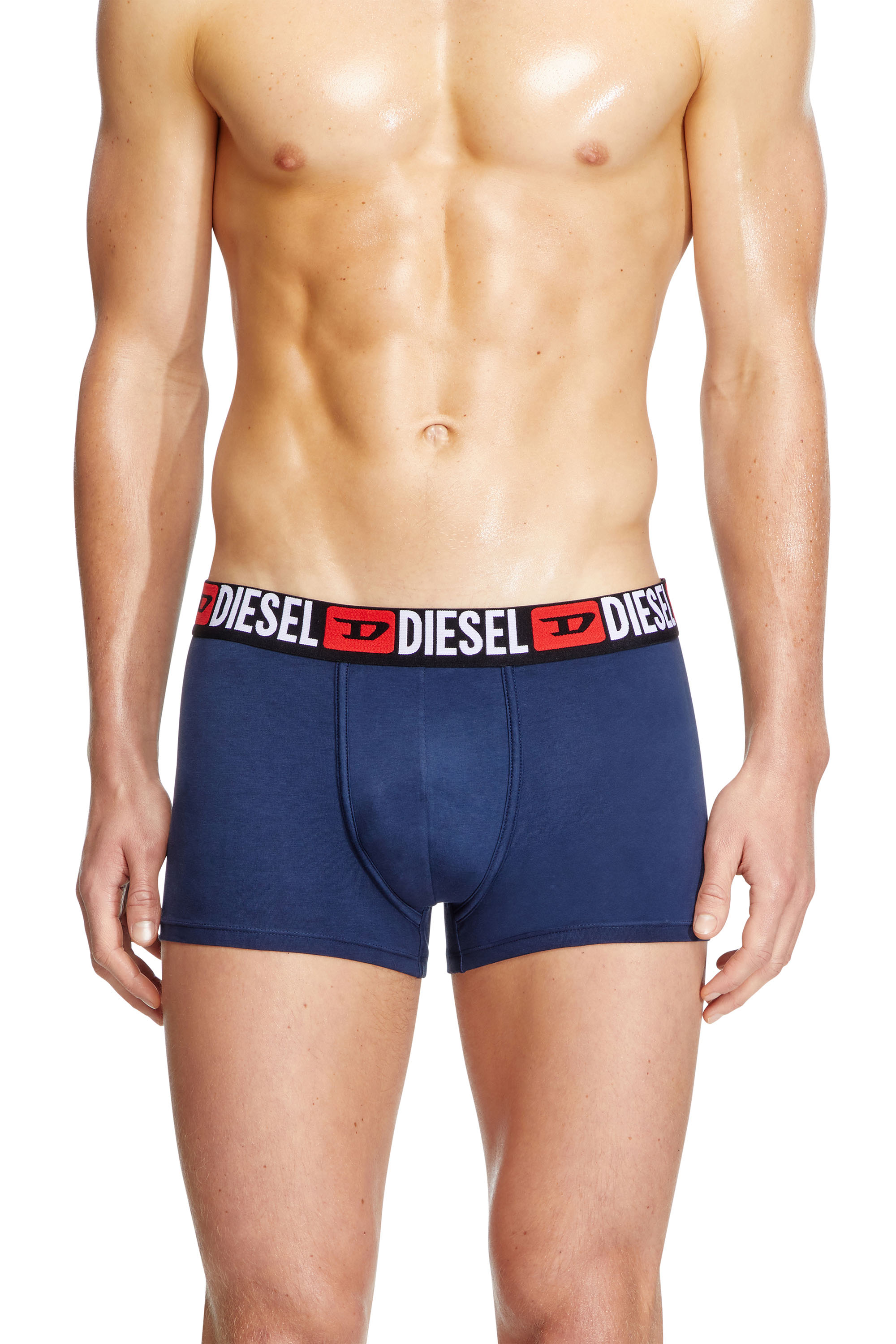 Diesel - UMBX-DAMIENTHREEPACK, Male's ボクサーパンツ3枚セット in グレー/ブルー - 2