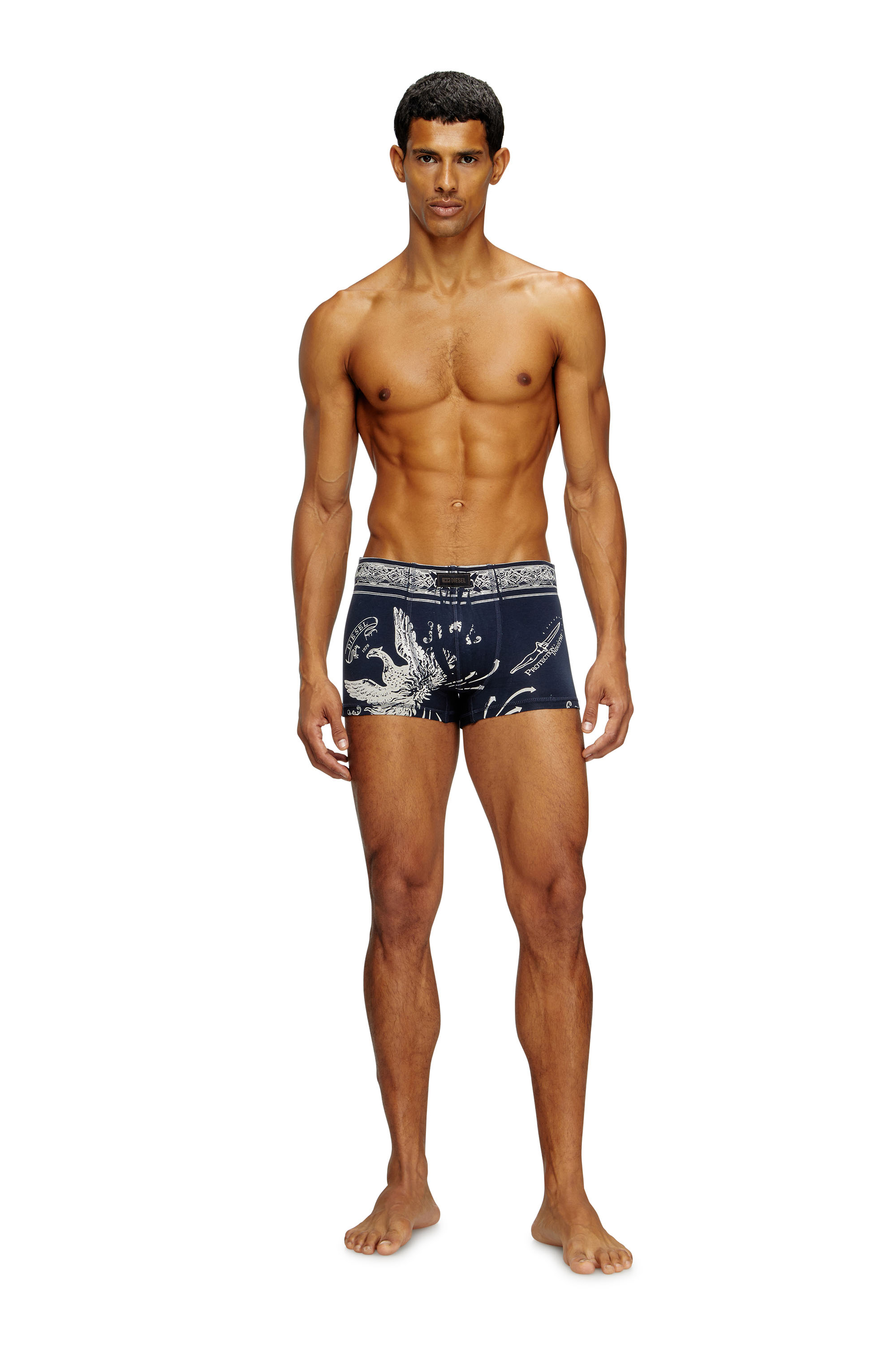 Diesel - DAMIEN-UTLT, Male's Boxer briefs with Phoenix print in ブルー - 1