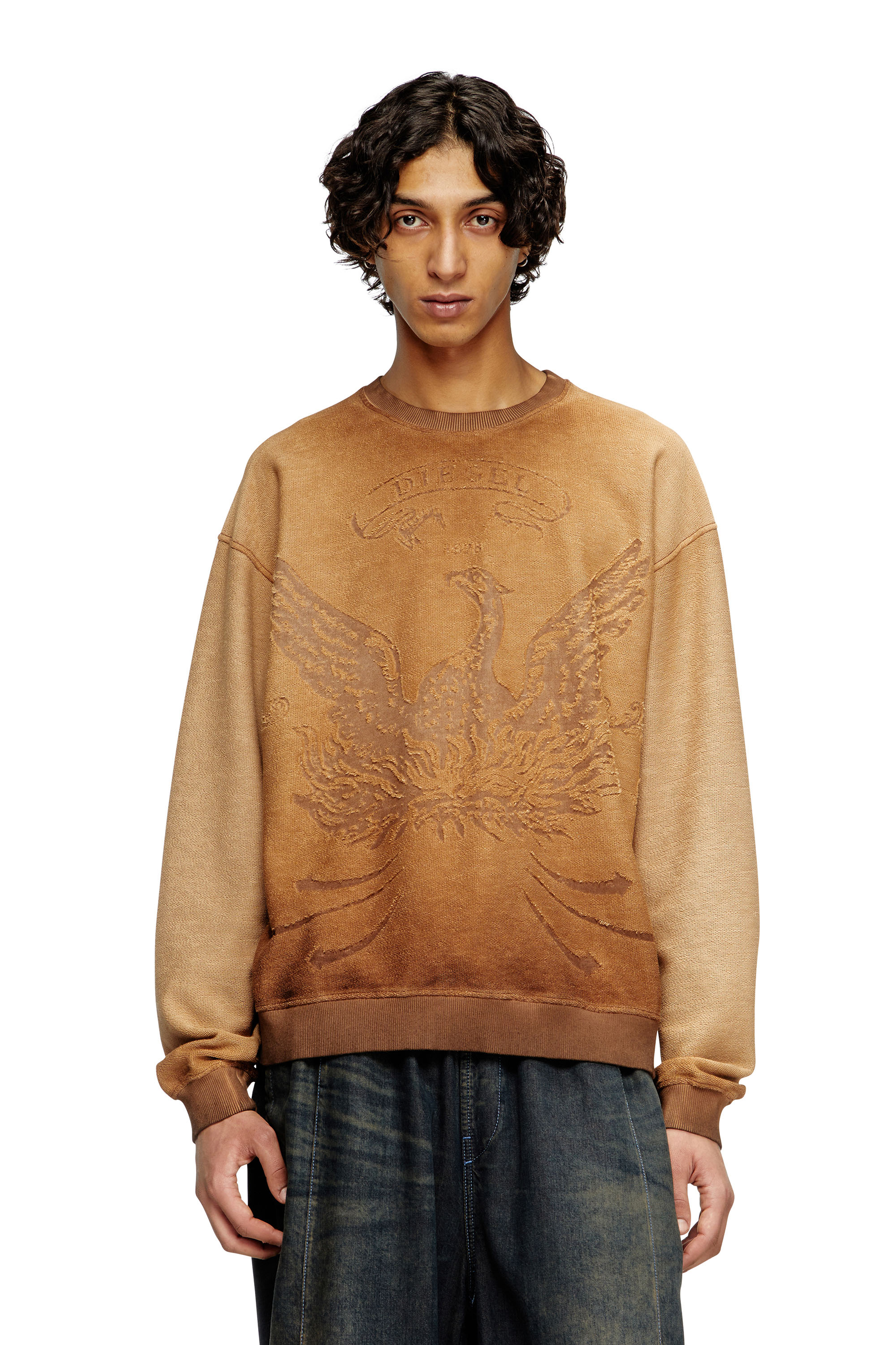Diesel - S-ARON, Male's Faded sweatshirt with devoré Phoenix logo in ブラウン - 1