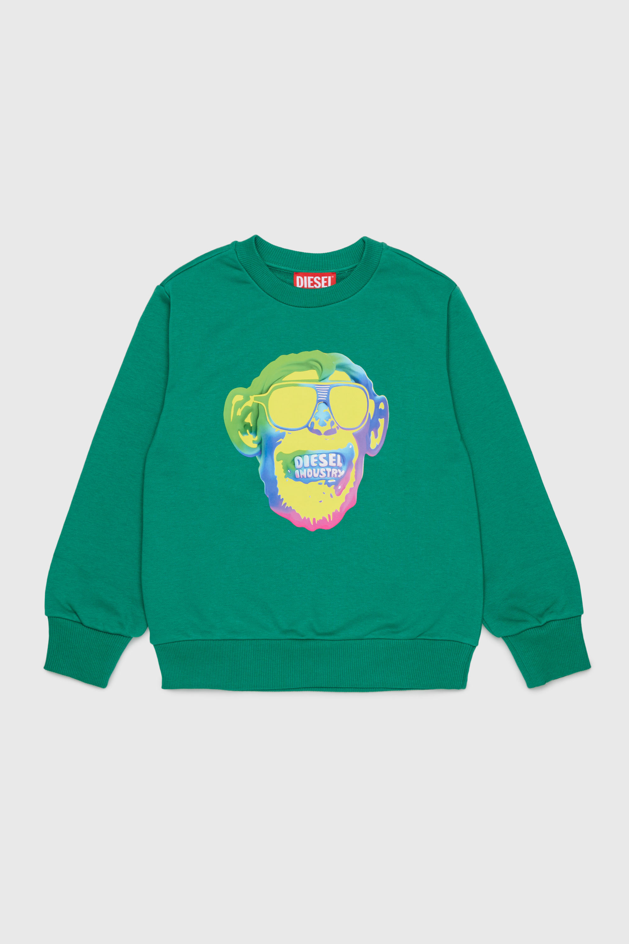 Diesel - SMONKEY OVER, Male's スウェット in グリーン - 1