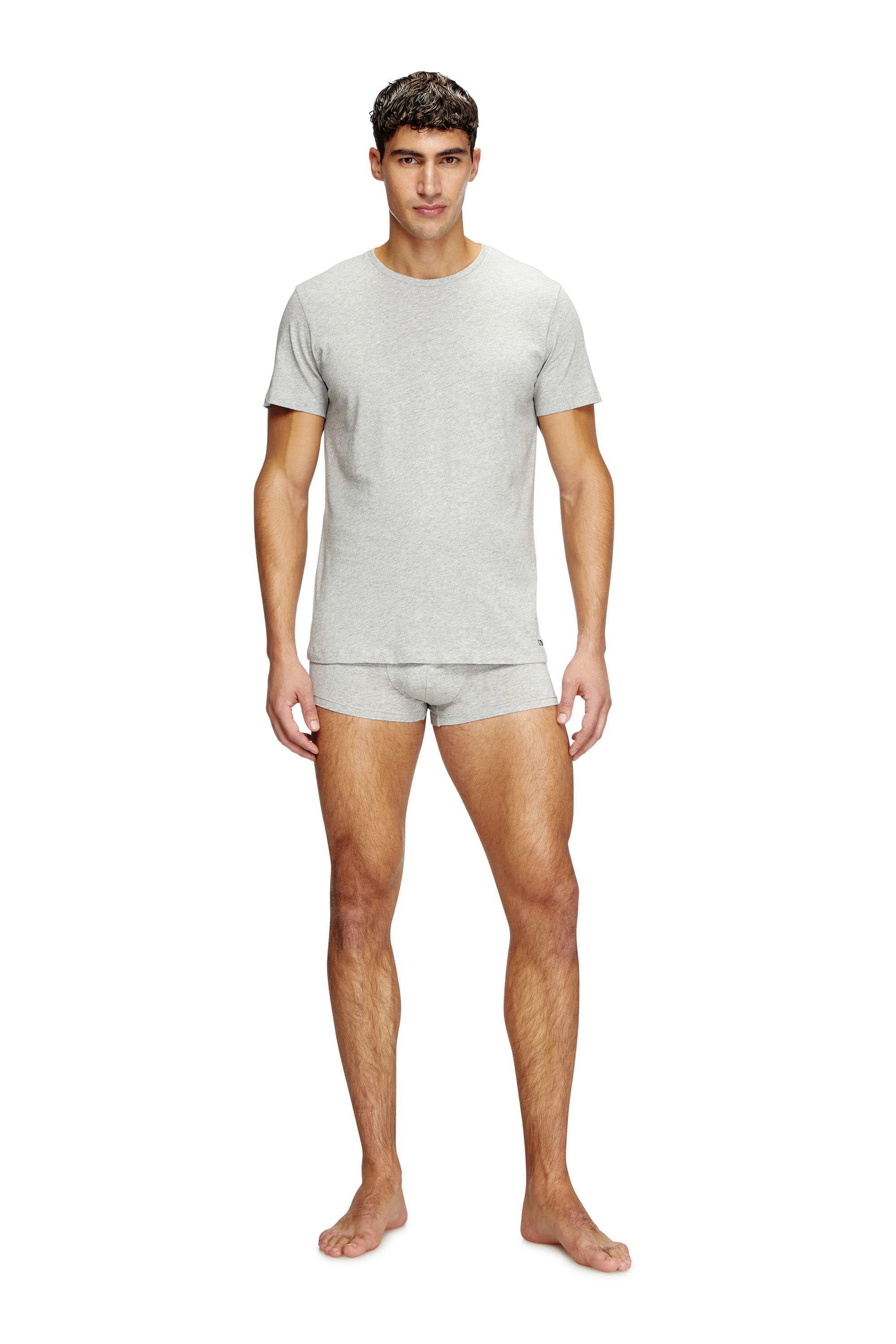 Diesel - RANDAL-D-BOX-3PACK, Male's Three-pack of T-shirts in グレー/ブラック - 3