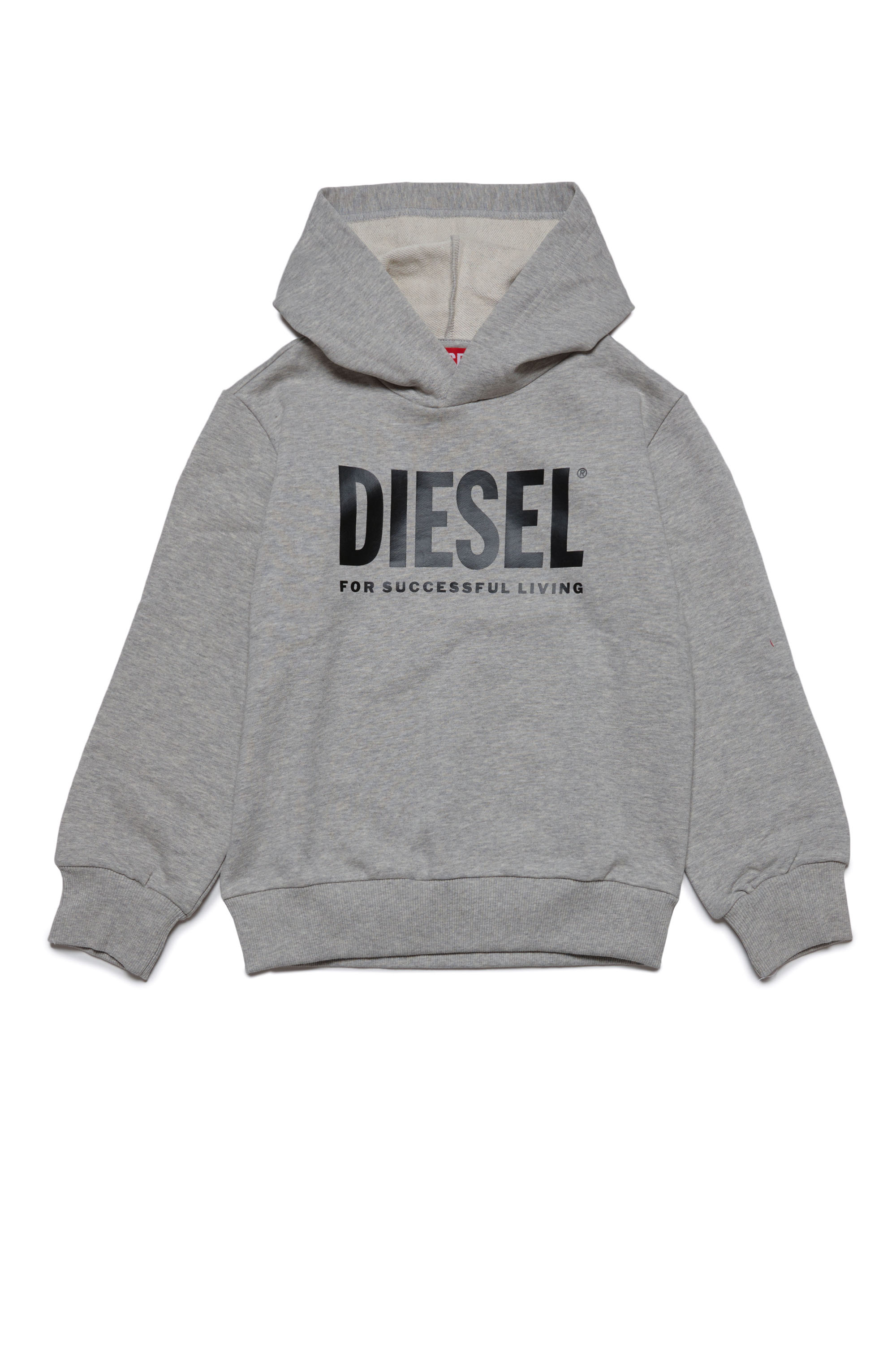 Diesel - LSFORT DI OVER HOOD, グレー - Image 1