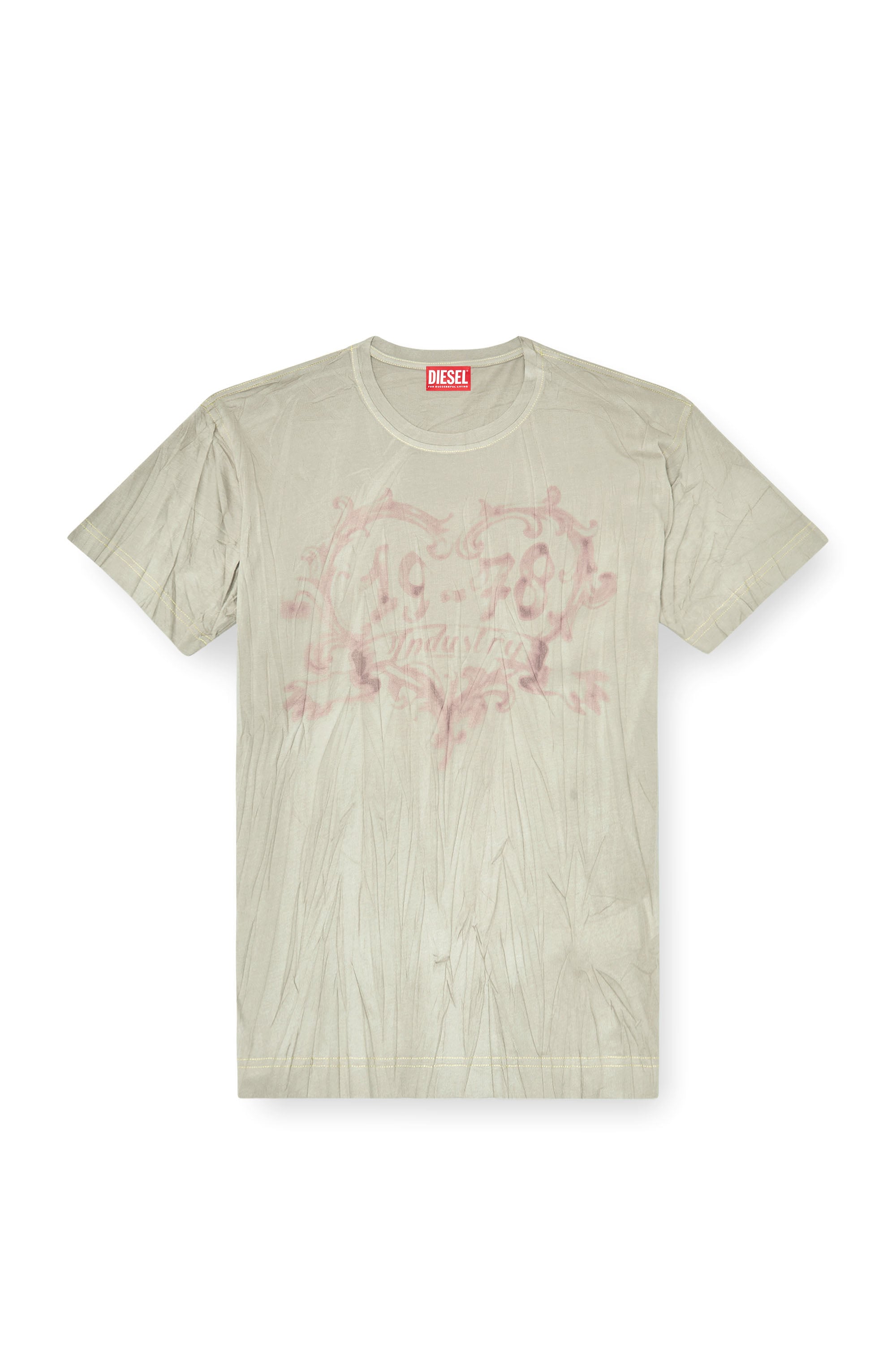Diesel - T-NORMY-AA4, Female's Tシャツ in ベージュ/ピンク - 2