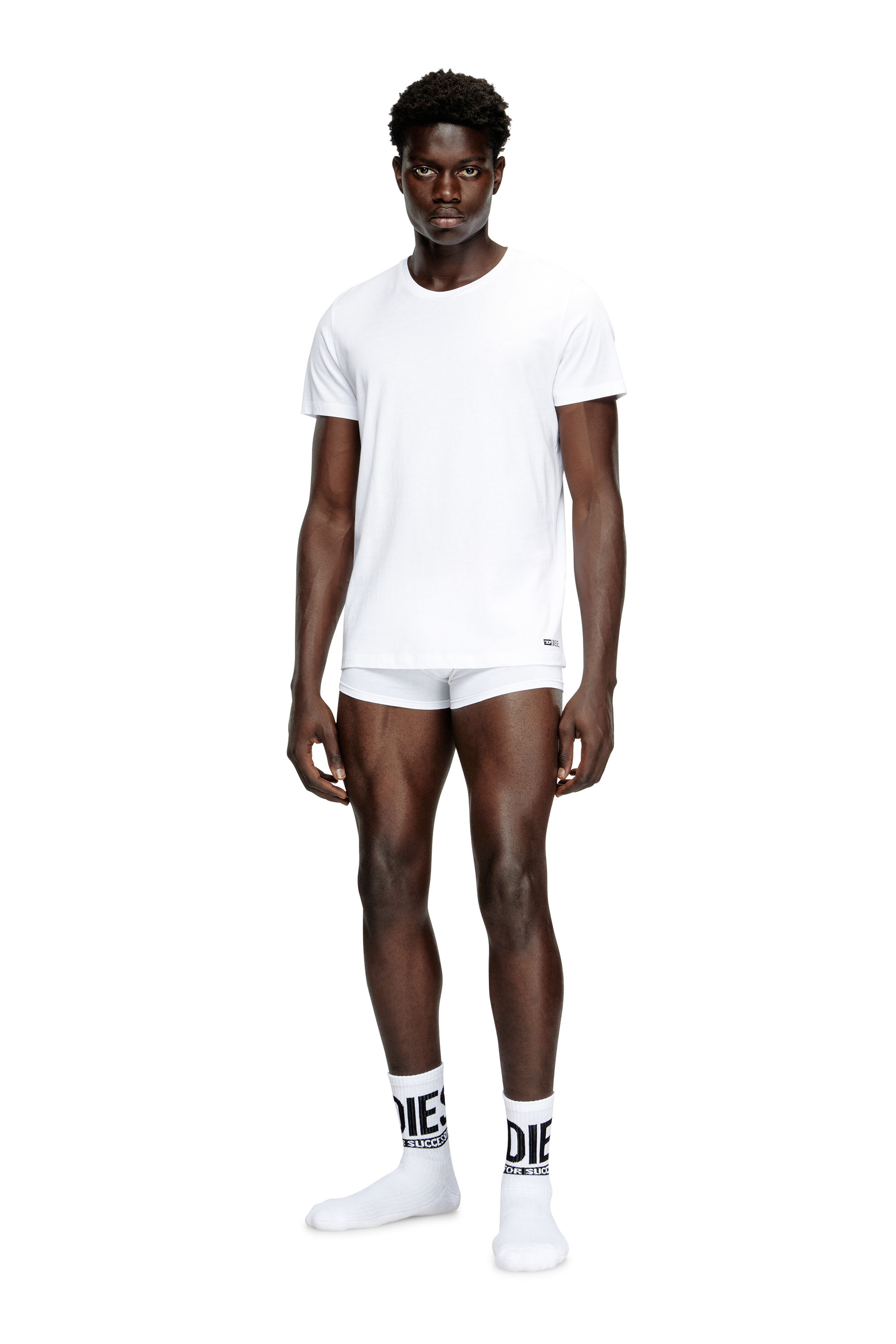 Diesel - RANDAL-D-BOX-3PACK, Male's Tシャツ3枚パック in ホワイト - 1