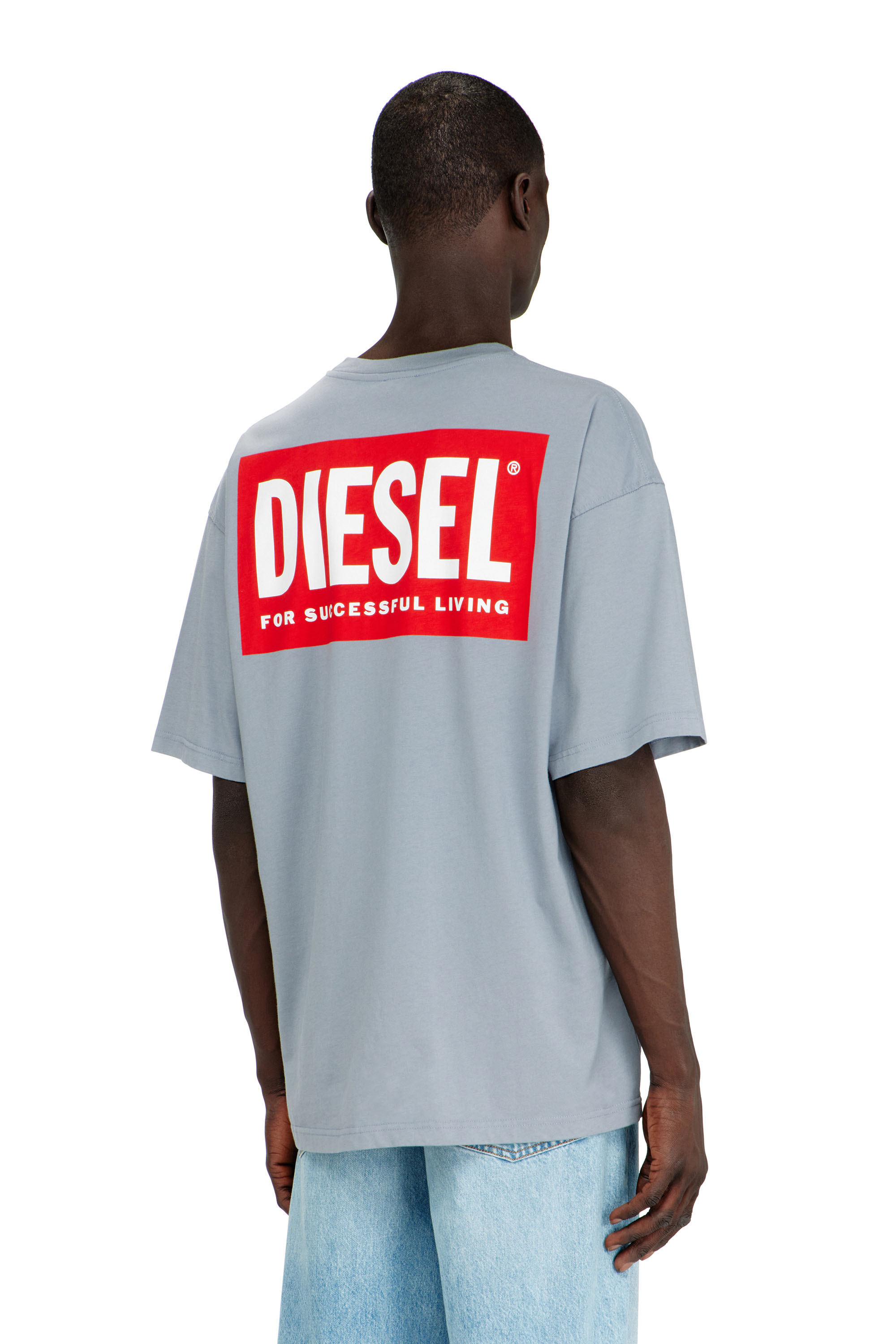 Diesel - T-BOXT-BISK, Male's Tシャツ in ライトグレー - 4